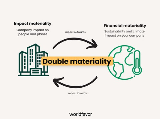 Navigating CSDR Requirements and Double Materiality: Challenges and Opportunities